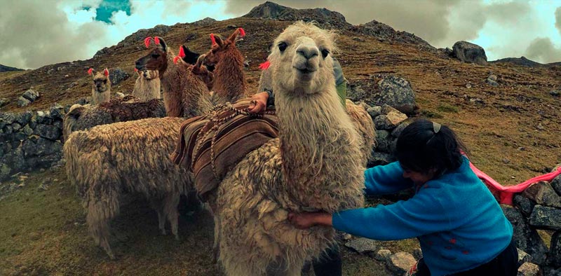 Adventure in the Andes from the U.S.A