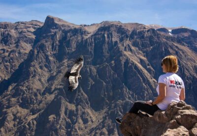 A Traveler’s Ultimate Guide to Colca Canyon Adventures