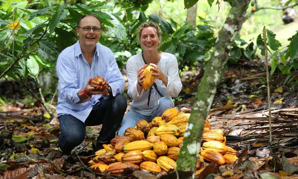 Coffee and Cocoa Route in the Jungle