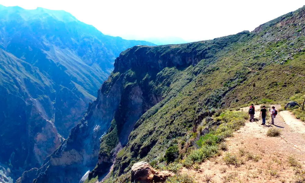 Visit to the Colca Canyon