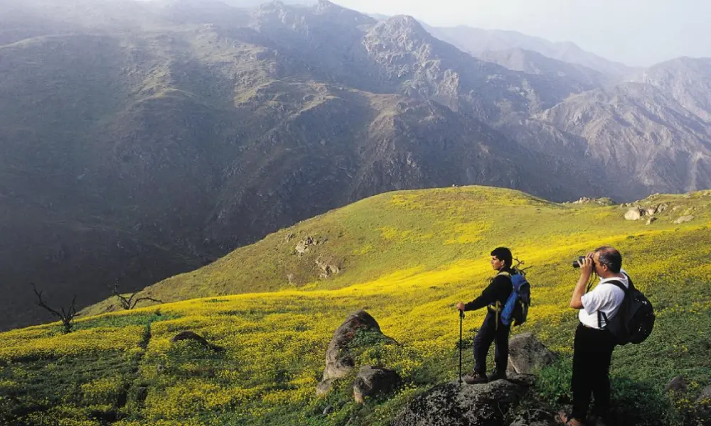 Best Times of the Year to Enjoy Hiking in Lima