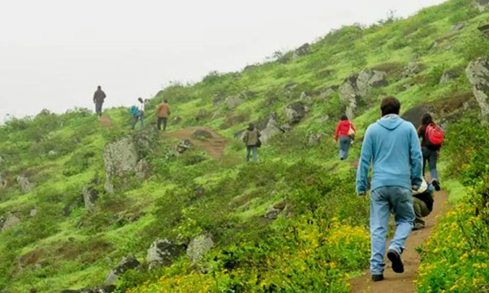 Lomas de Lucumo