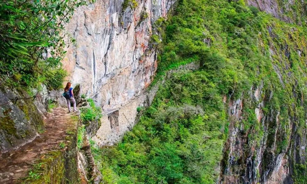 Machu Picchu + Inca Bridge