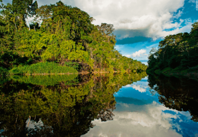 A Journey through Pacaya Samiria National Reserve