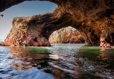 Discover the Best Paracas and Ballestas Islands Tours