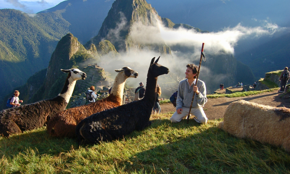 Machu Picchu Tickets and Entry Fees