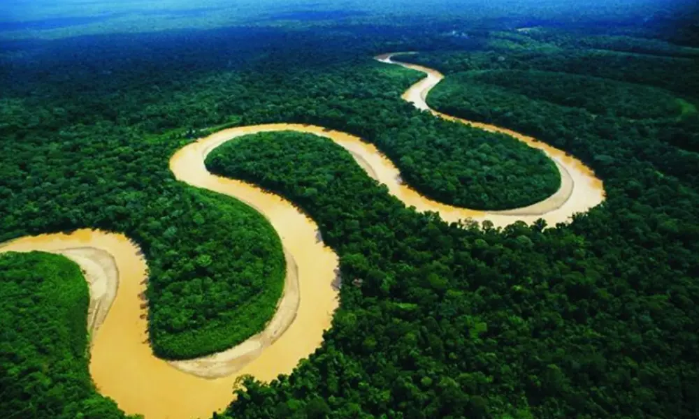 Peruvian Amazon Jungle