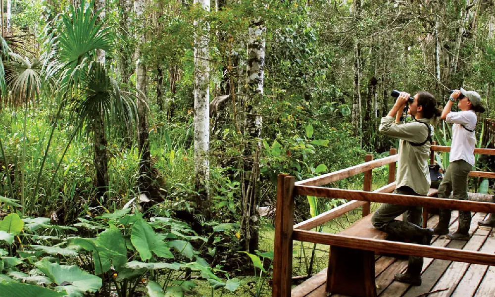 Practical Tips for Traveling through the Peruvian Jungle