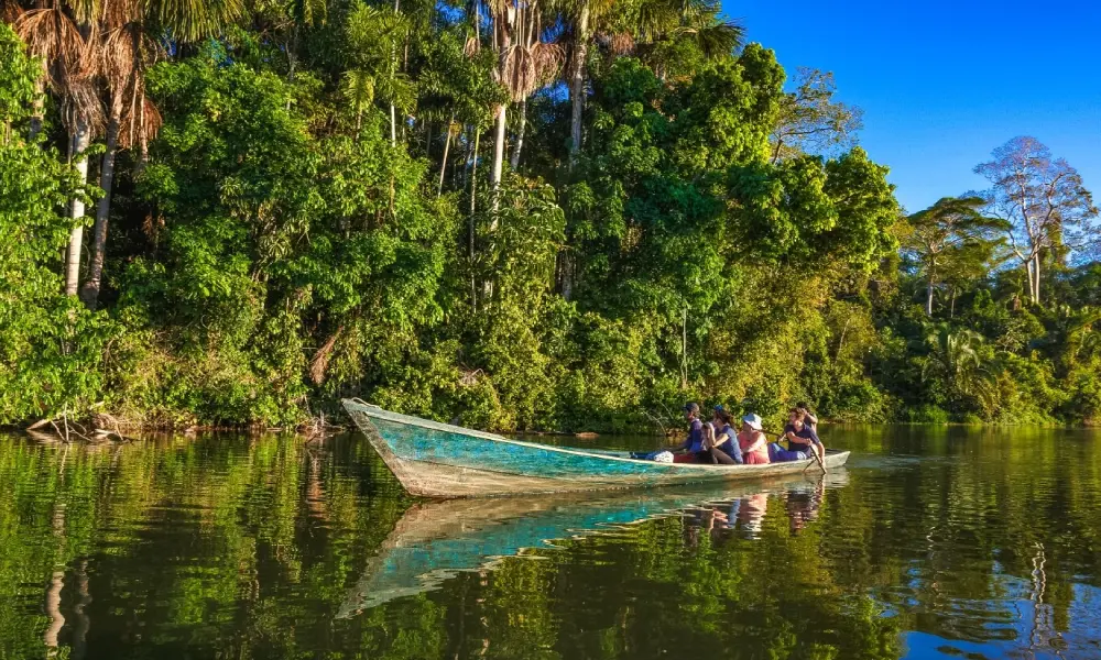 Amazon jungle