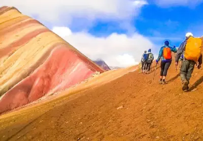 Discover the Fauna and Flora in Vinicunca