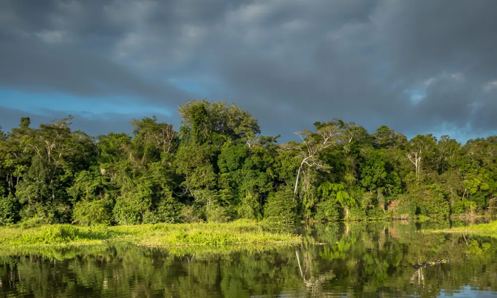 Tambopata National Reserve