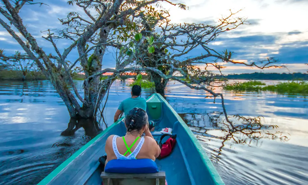 Travel to the Amazon