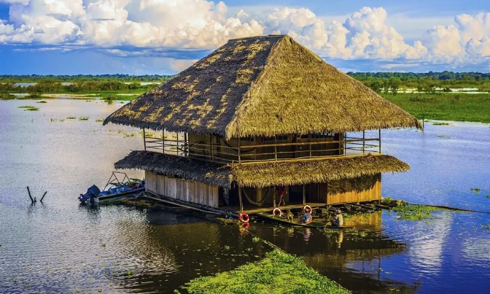 Living Cultures in amazon