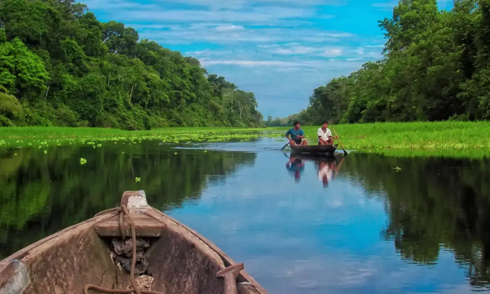 trip on the Amazon ecosystem