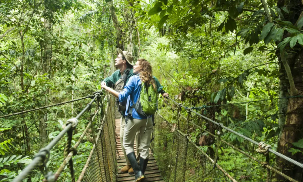 Unparalleled Biodiversity in the amazon