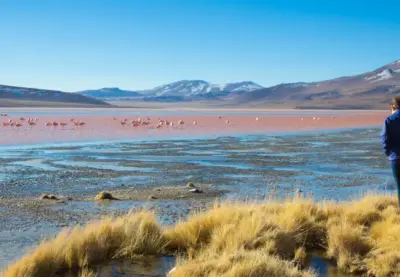 Unexpected Trips through Bolivia and Chile: A Journey Beyond the Ordinary