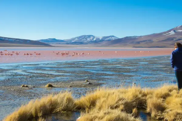 Unexpected Trips through Bolivia and Chile: A Journey Beyond the Ordinary