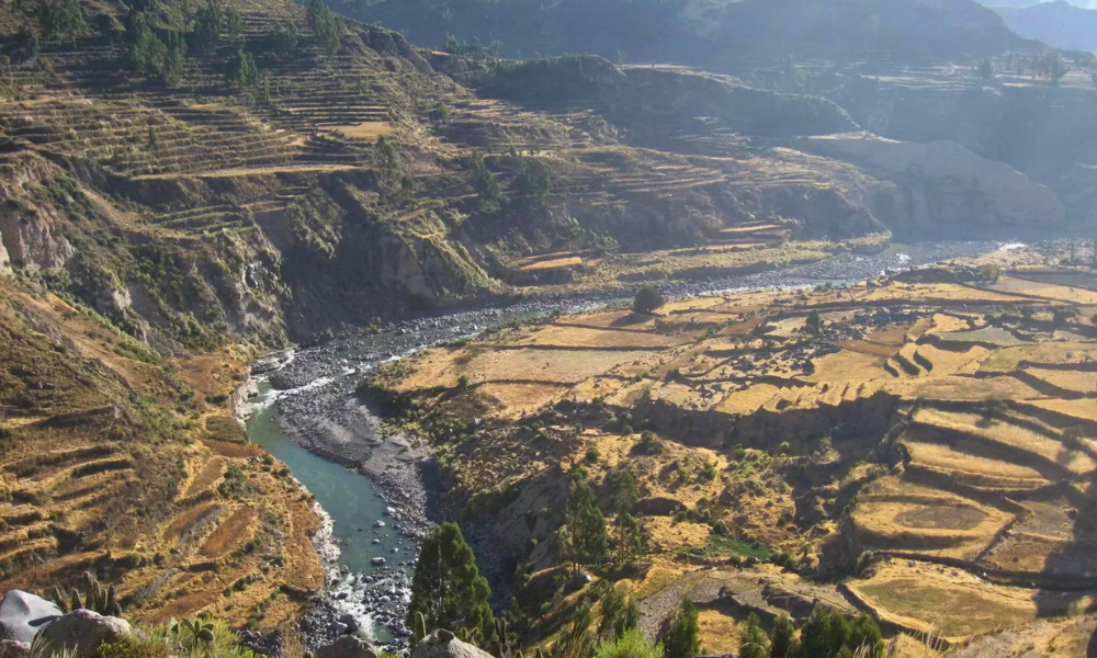 visit to the Colca Canyon