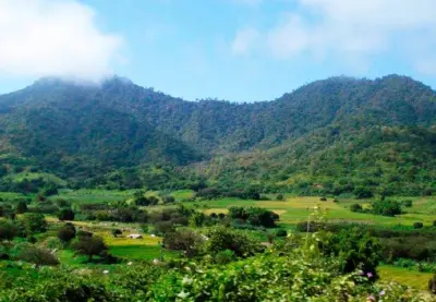 CERROS DE AMOTAPE NATIONAL PARK