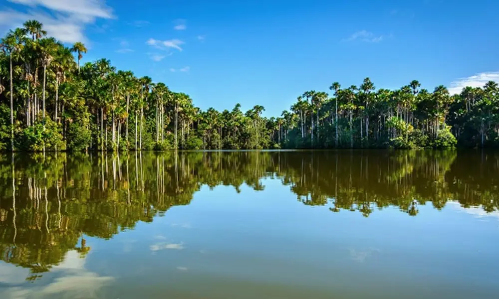 Activities in Tambopata