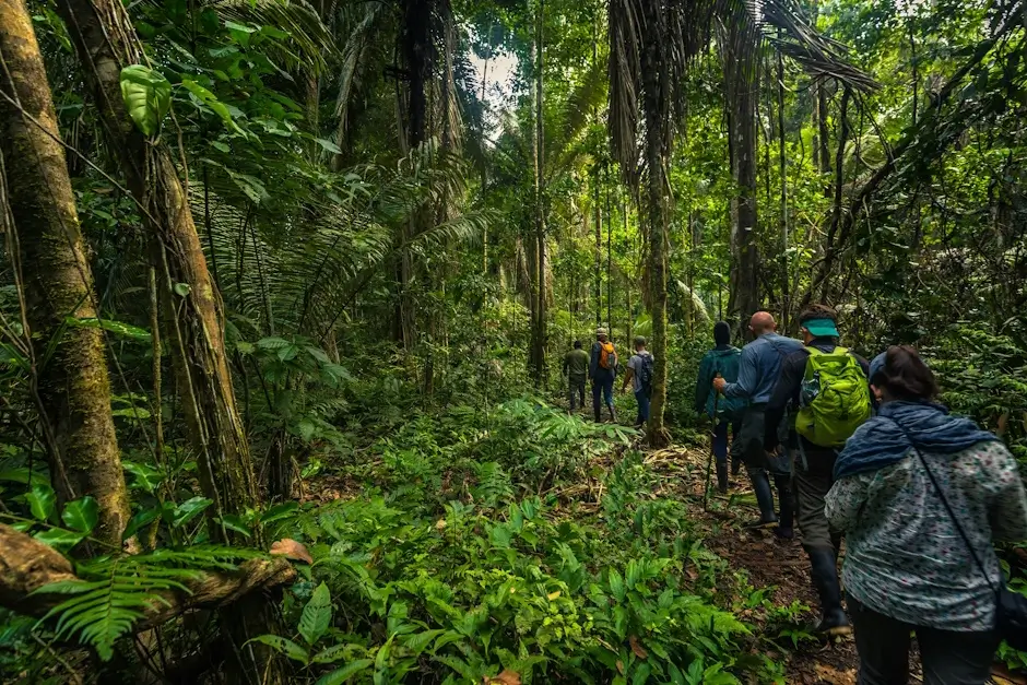 Peruvian Jungle