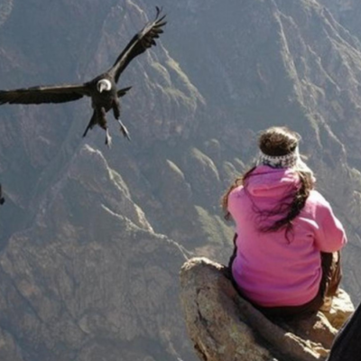 Arequipa Colca Canyon Tour 4 Days: Santa Catalina Monastery & Andean Landscapes