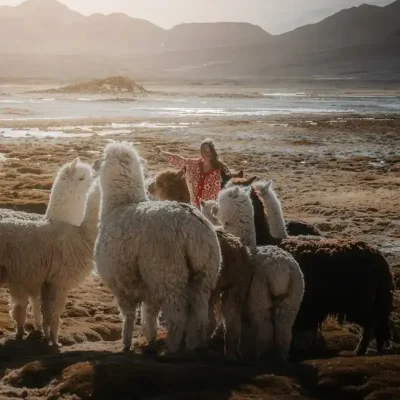 Exploring South America: Luxury Travel Packages to Peru, Bolivia, and Chile