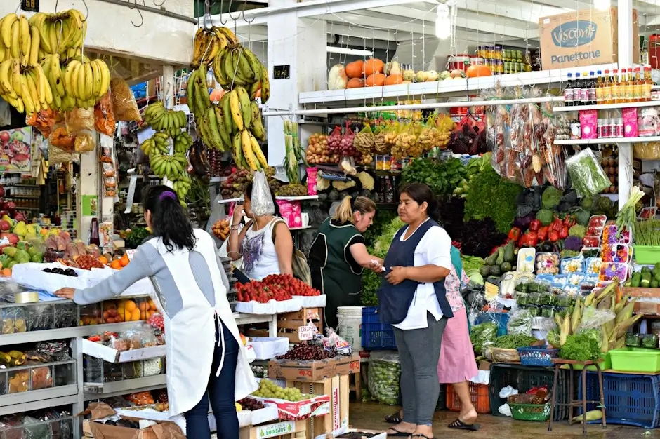 Discover the Surquillo Market