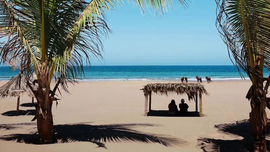 Exclusive Islands and Beaches in Northern Peru