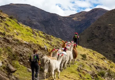 Lares trek a Machu Picchu 4 Dias Y 3 Noches