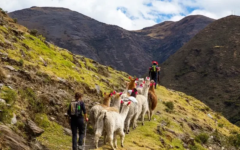 Lares trek a Machu Picchu