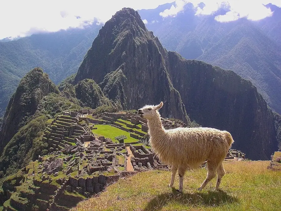 Machu Picchu Circuits