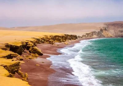 Paracas and Ballestas Islands tour