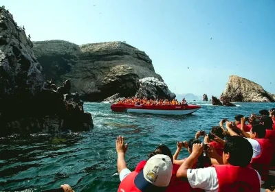 Paracas and Ballestas Islands tour