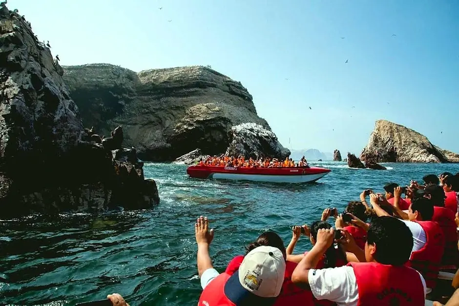 Paracas and Ballestas Islands tour
