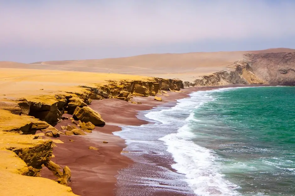 Paracas and Ballestas Islands tour
