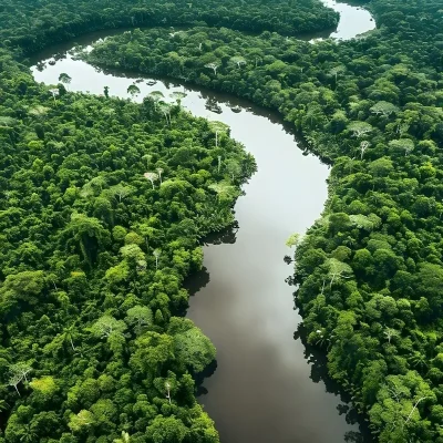 The Peruvian Amazon Jungle: A Lush World of Biodiversity and Adventure