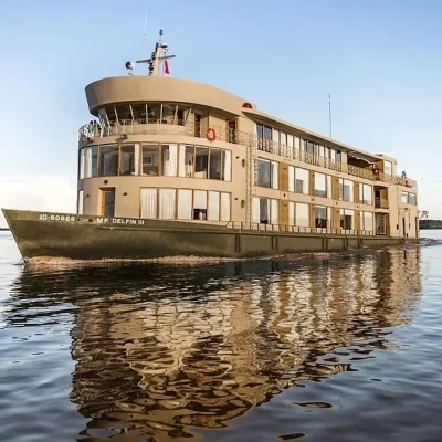 Exploring the Untamed Beauty: The Best Jungle Tours in Peru