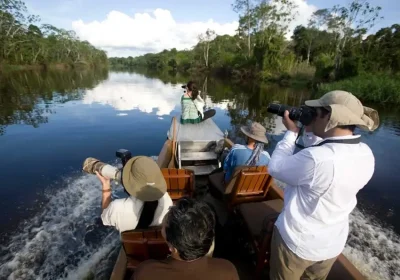 Practical Tips for Peruvian Amazon Cruises