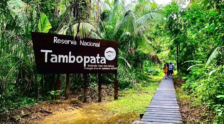 Peruvian Jungle