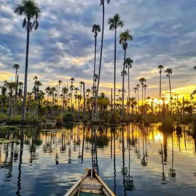 A guide to Adventure in Iquitos, the Peruvian Jungle