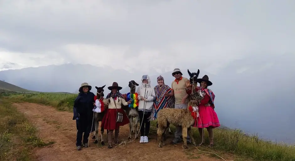 adventure whith Llamas