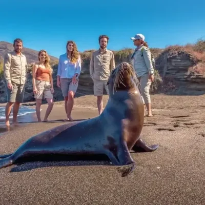 Machu Picchu Galapagos Luxury Tour 15 Days | Sacred Lands & Natural Wonders