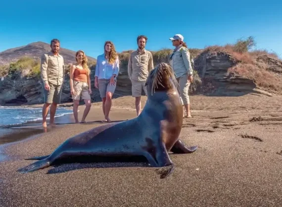 Machu Picchu Galapagos Luxury Tour 15 Days | Sacred Lands & Natural Wonders