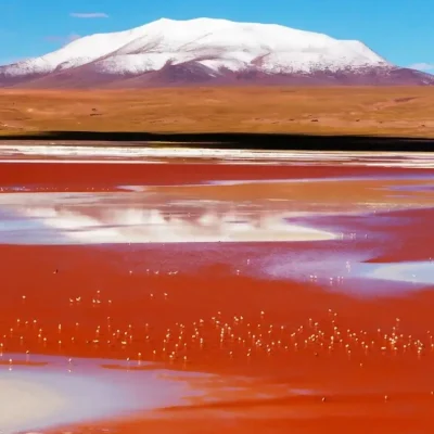 Complete Guide: How to Get to Laguna Colorada in Bolivia