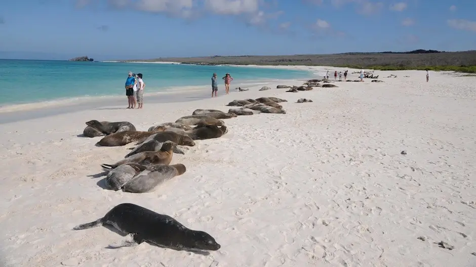 Tours Galapagos Islands