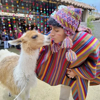 Llamas in Peru: The Iconic Andean Companions