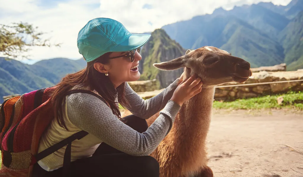 Solo Tourist Machu Picchu