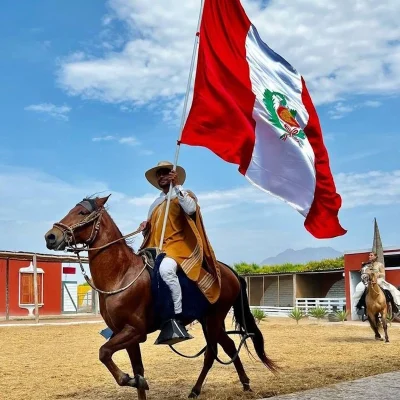The Elegance of the Peruvian Paso Horse